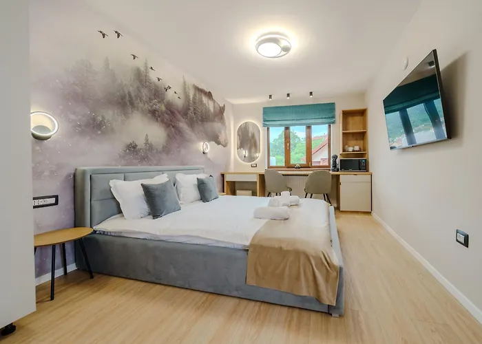 Montello Guest house Brasov